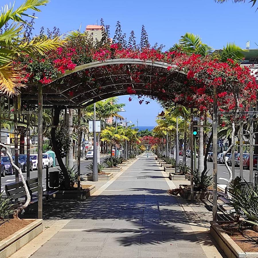 Apartamento Bien Situado - Buenas Conexiones Santa Cruz de Tenerife Exterior foto